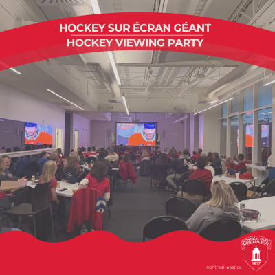 habs vs sabres (1)