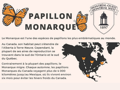 thumbnail infographe